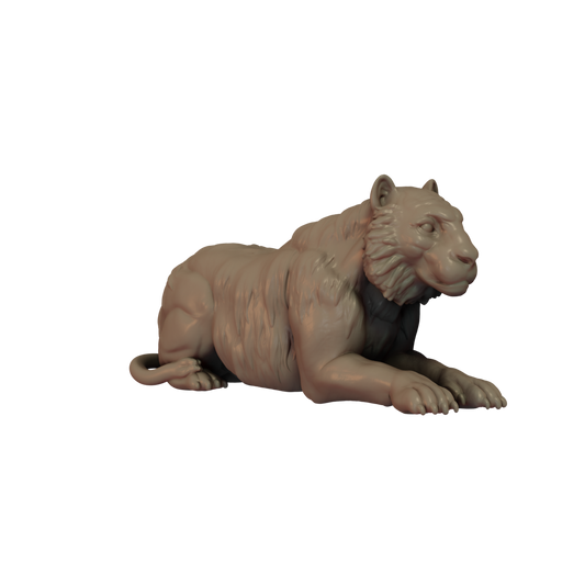 Tiger Pose 2