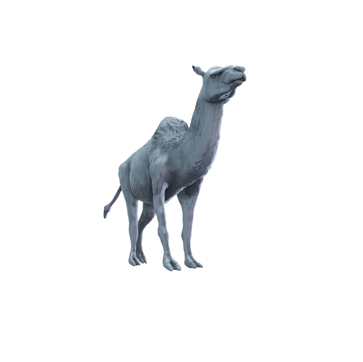 3D printed Titanotylopus standing front view