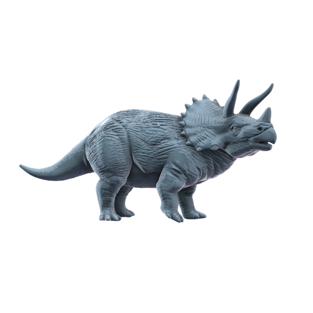 3D printed Triceratops watching side view