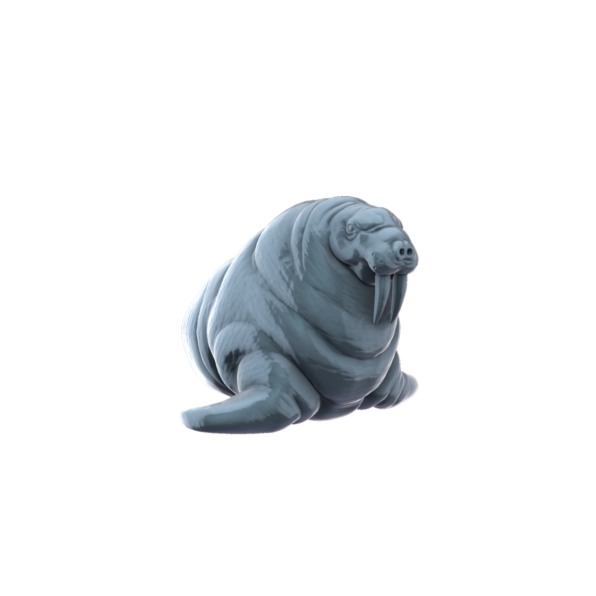 3D printed Walrus front view