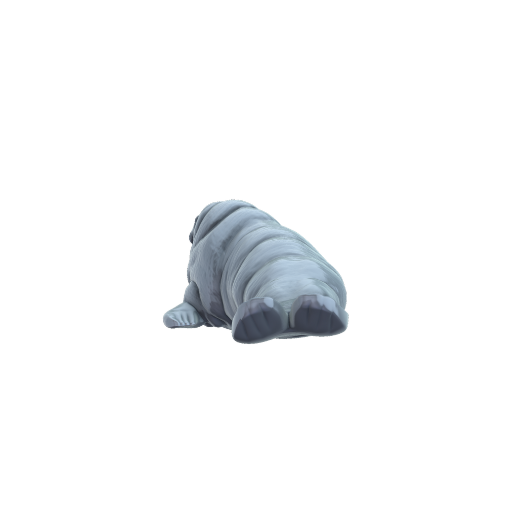 3D printed Walrus rear view