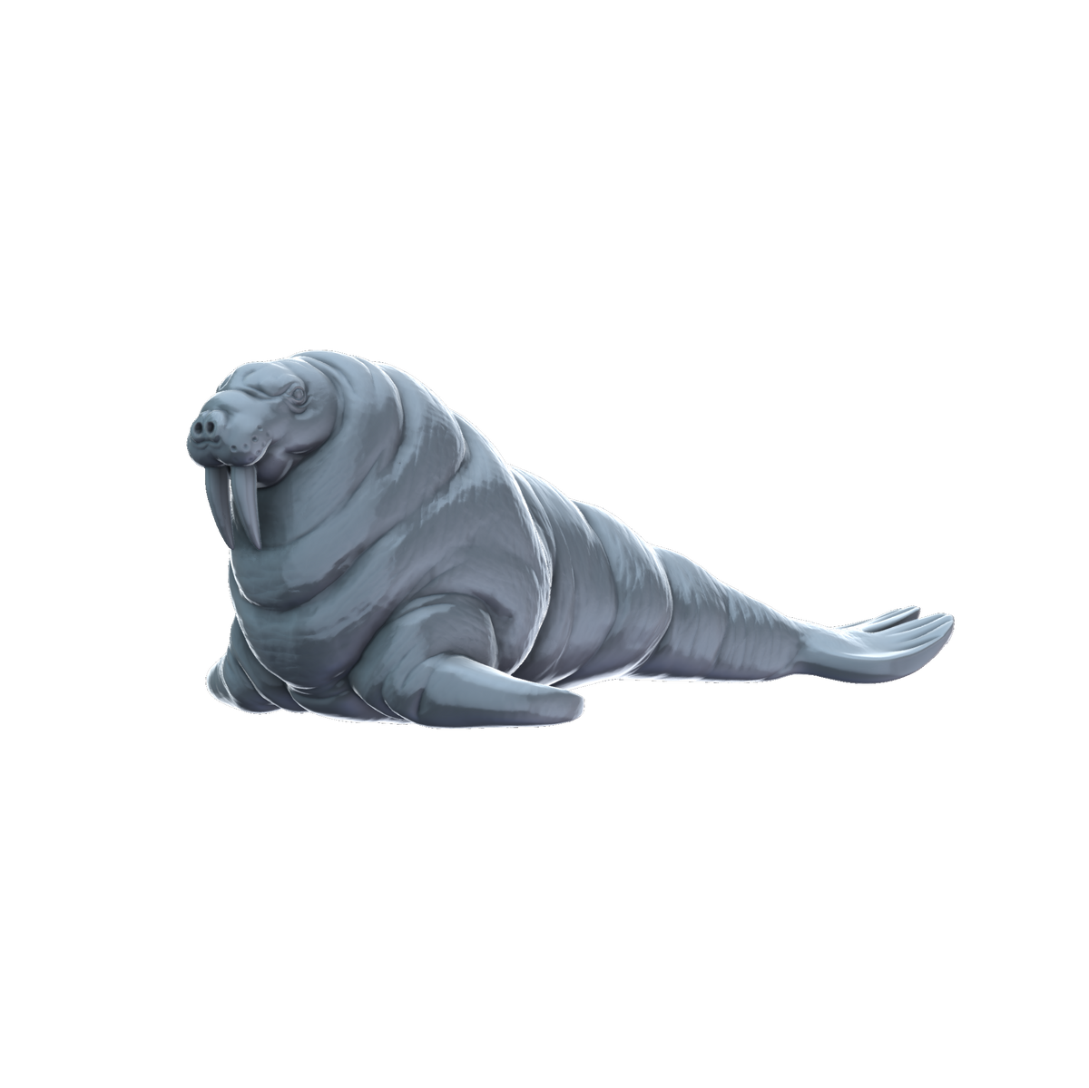 3D printed Walrus side view