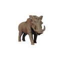 Warthog Pose 1