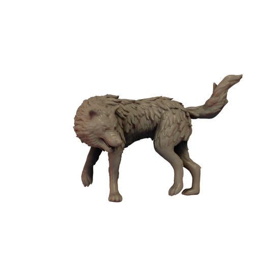 Wolf Pose 1