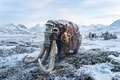 Armoured Wooly Mammoth in a snowy landscape