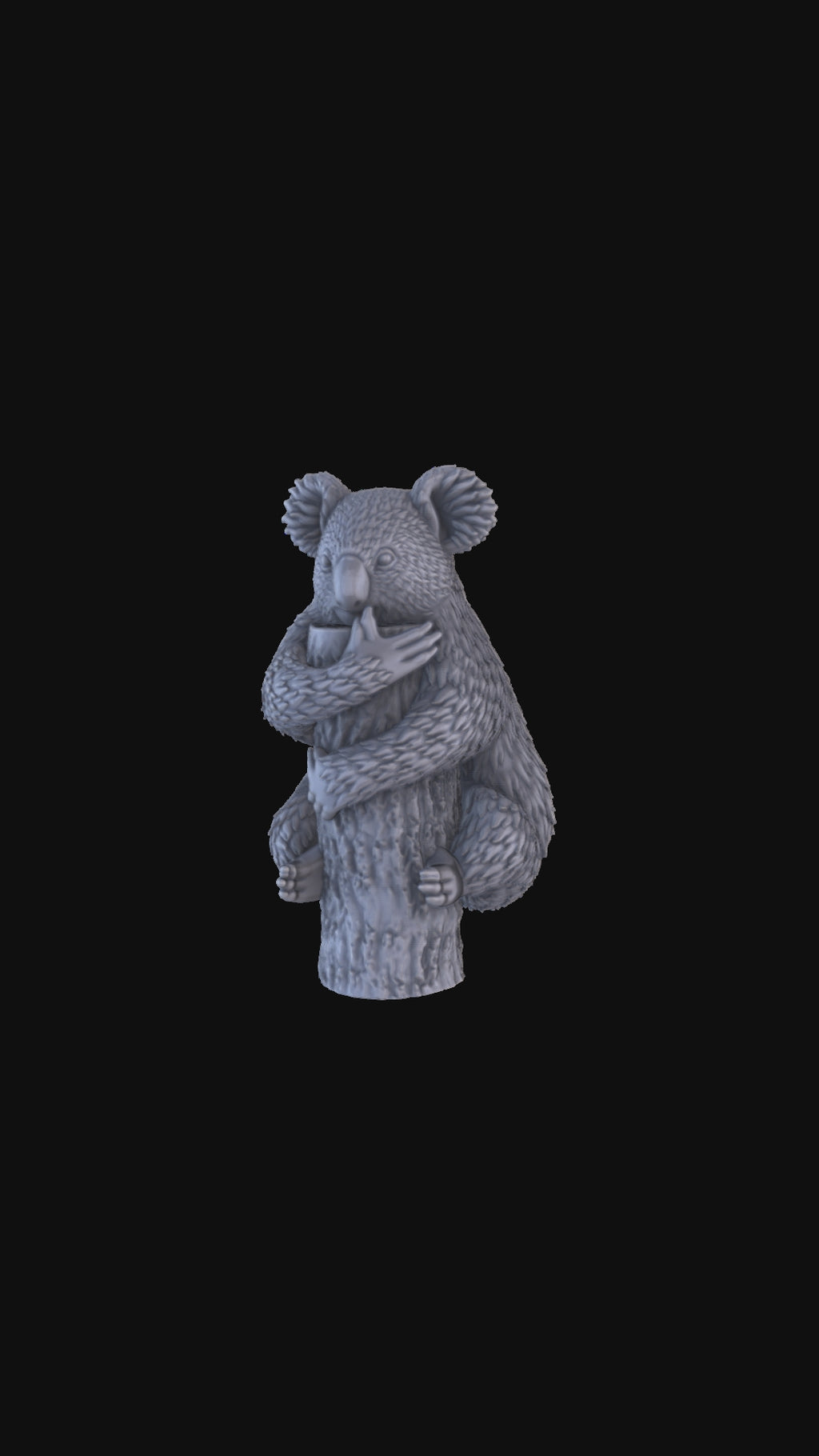 Koala 360 degree view