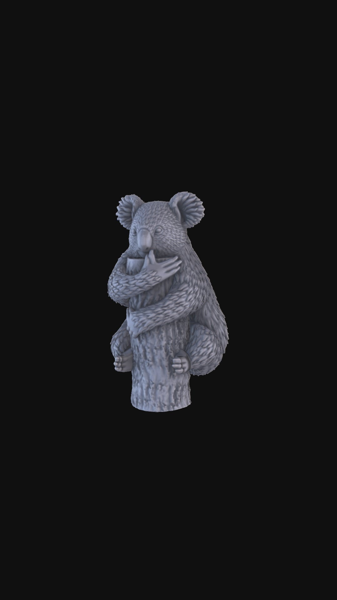 Koala 360 degree view