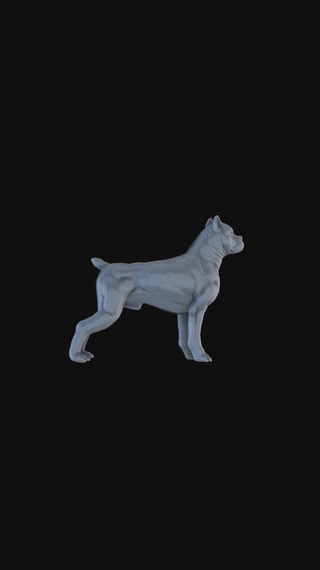 Pitbull Standing 360 degree view