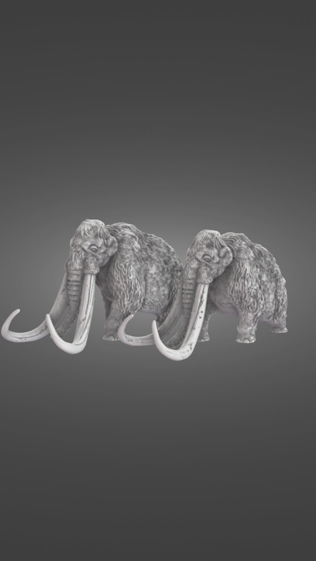 Woolly Mammoths 360 degree view