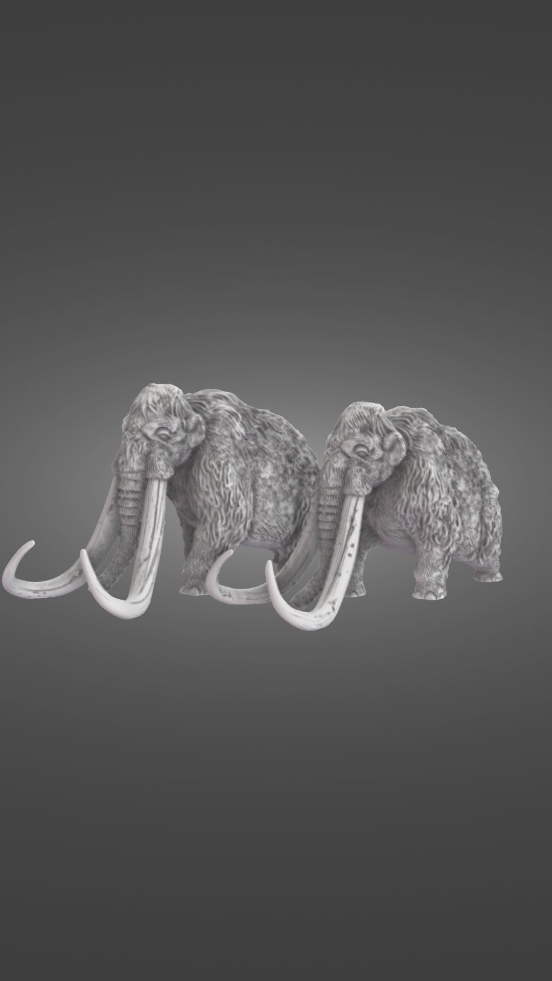 Woolly Mammoths 360 degree view