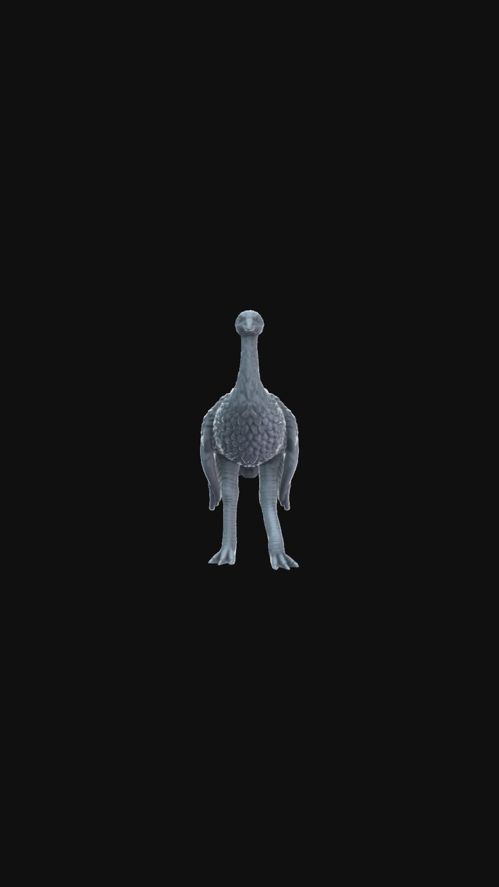 Ostrich 360 degree view