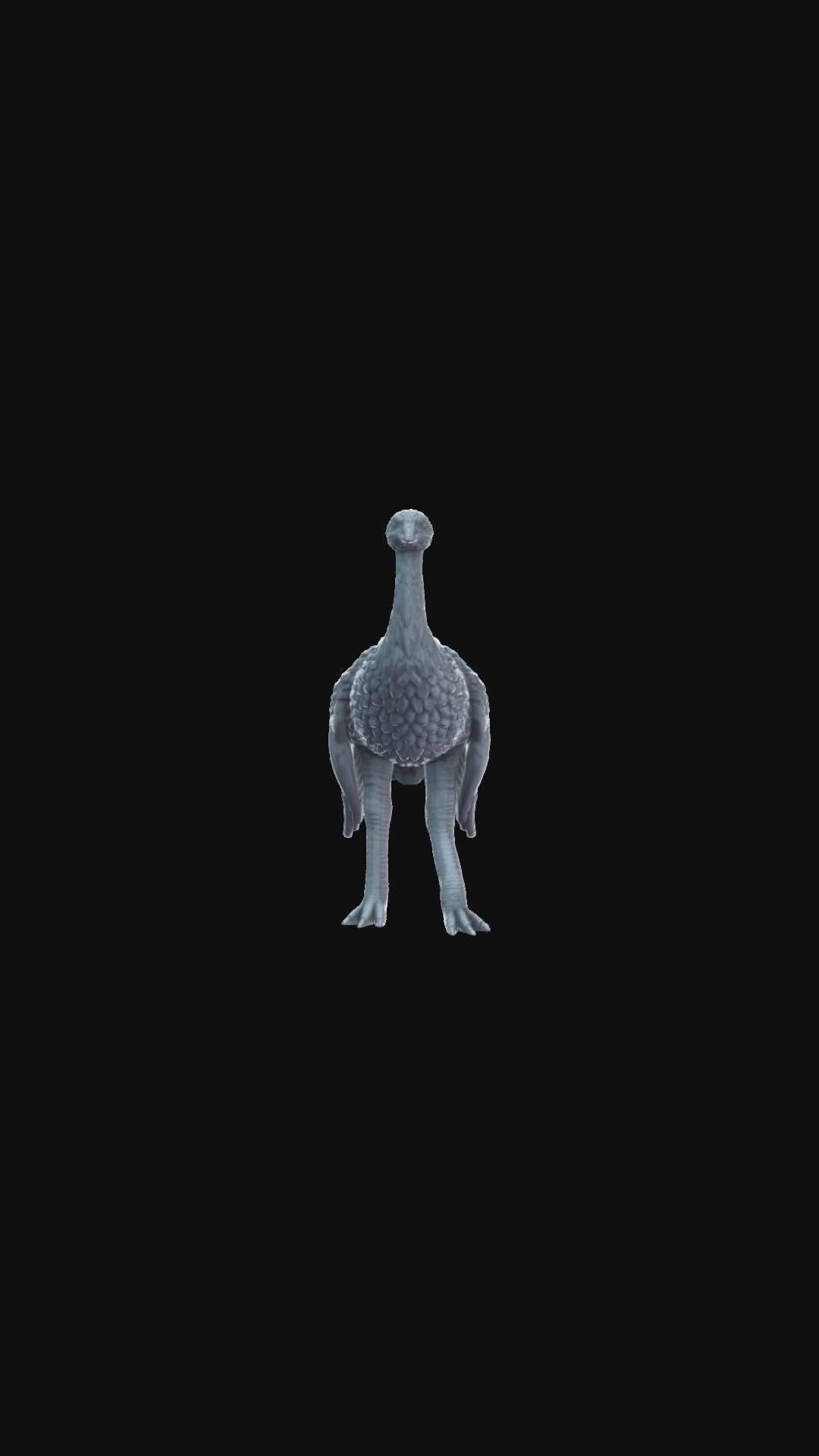 Ostrich 360 degree view