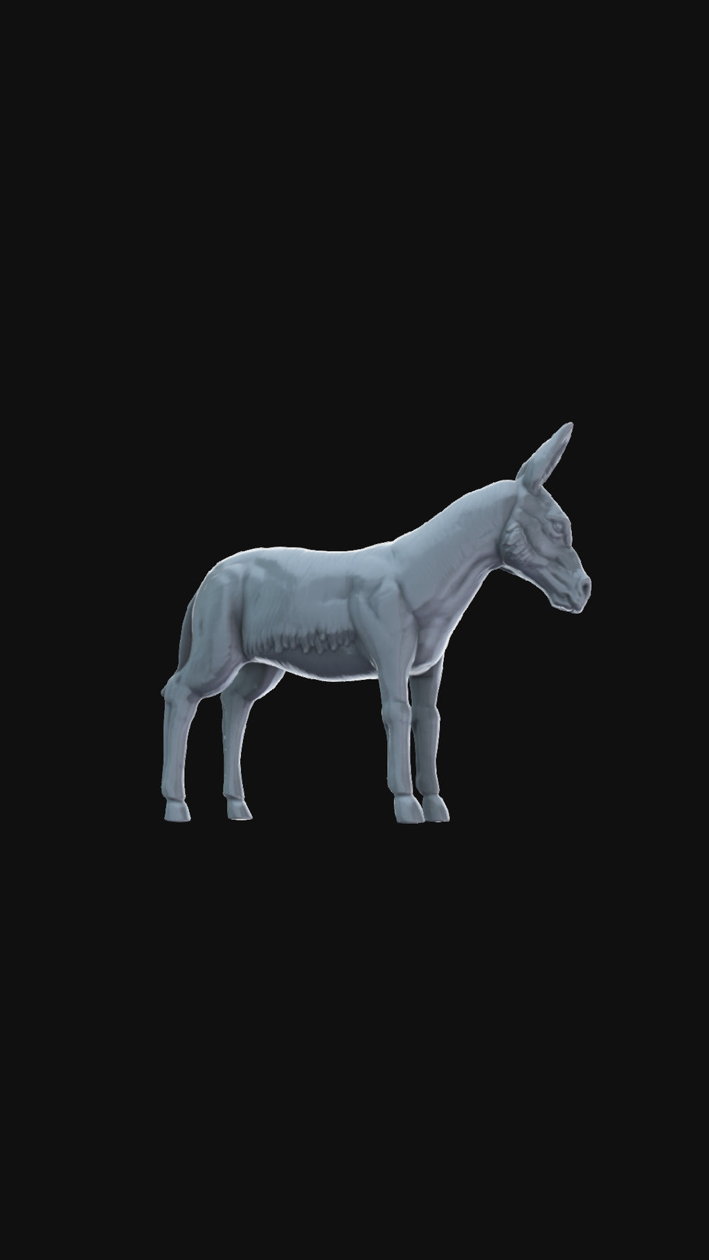 Donkey 360 degree view