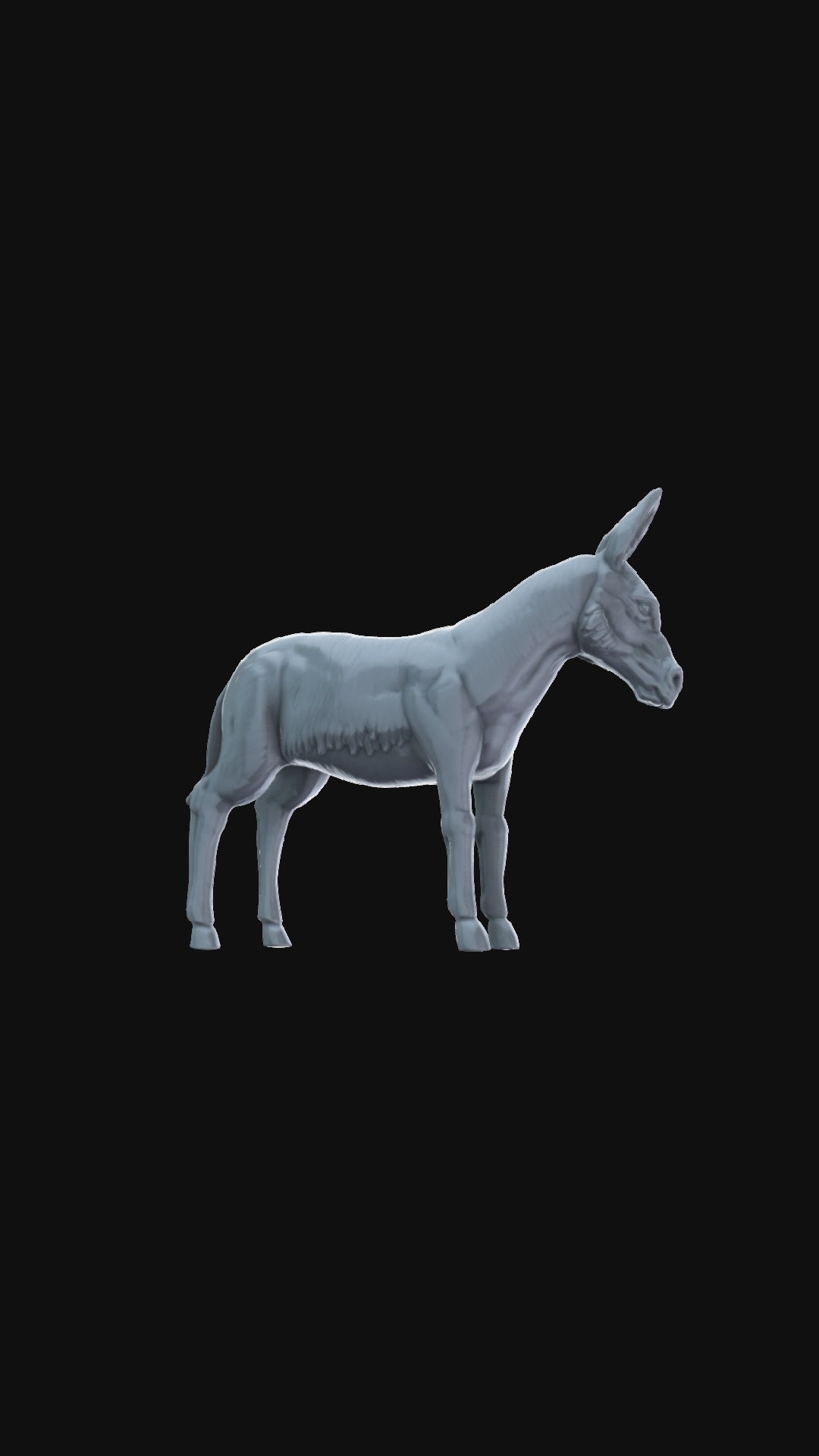 Donkey 360 degree view