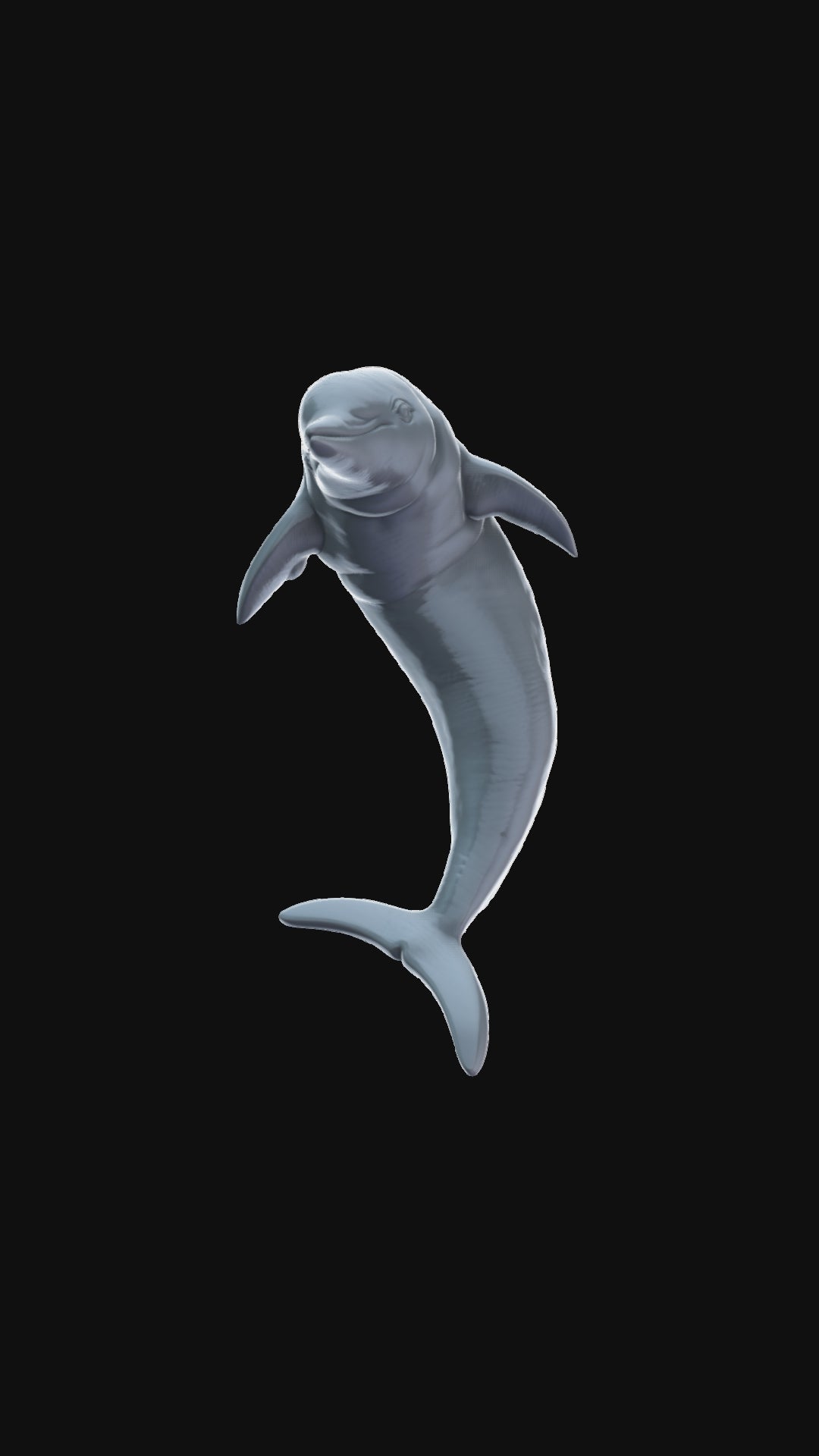 Dolphin Leaping 360 degree view
