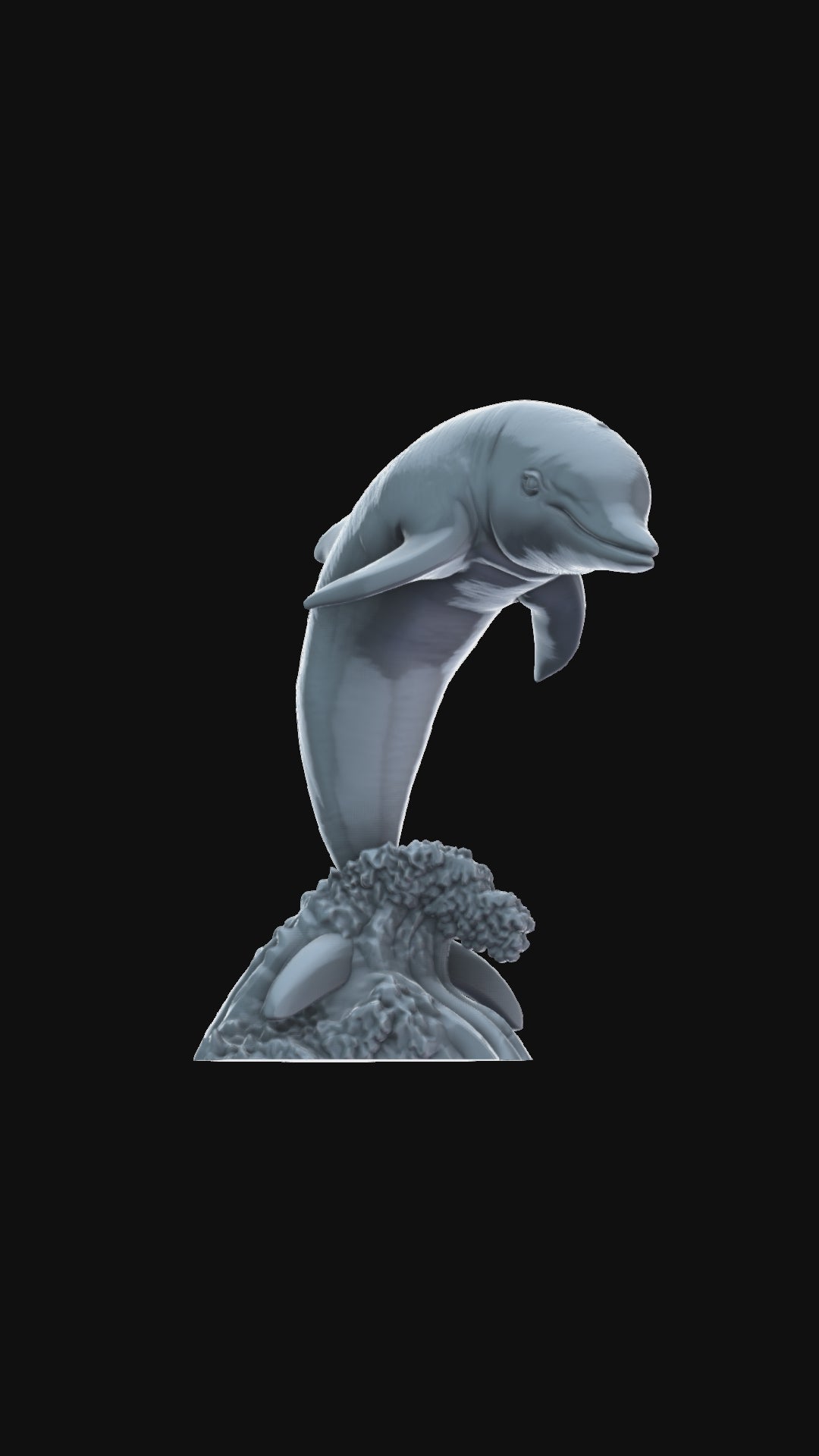 Dolphin and wave 360 degree view