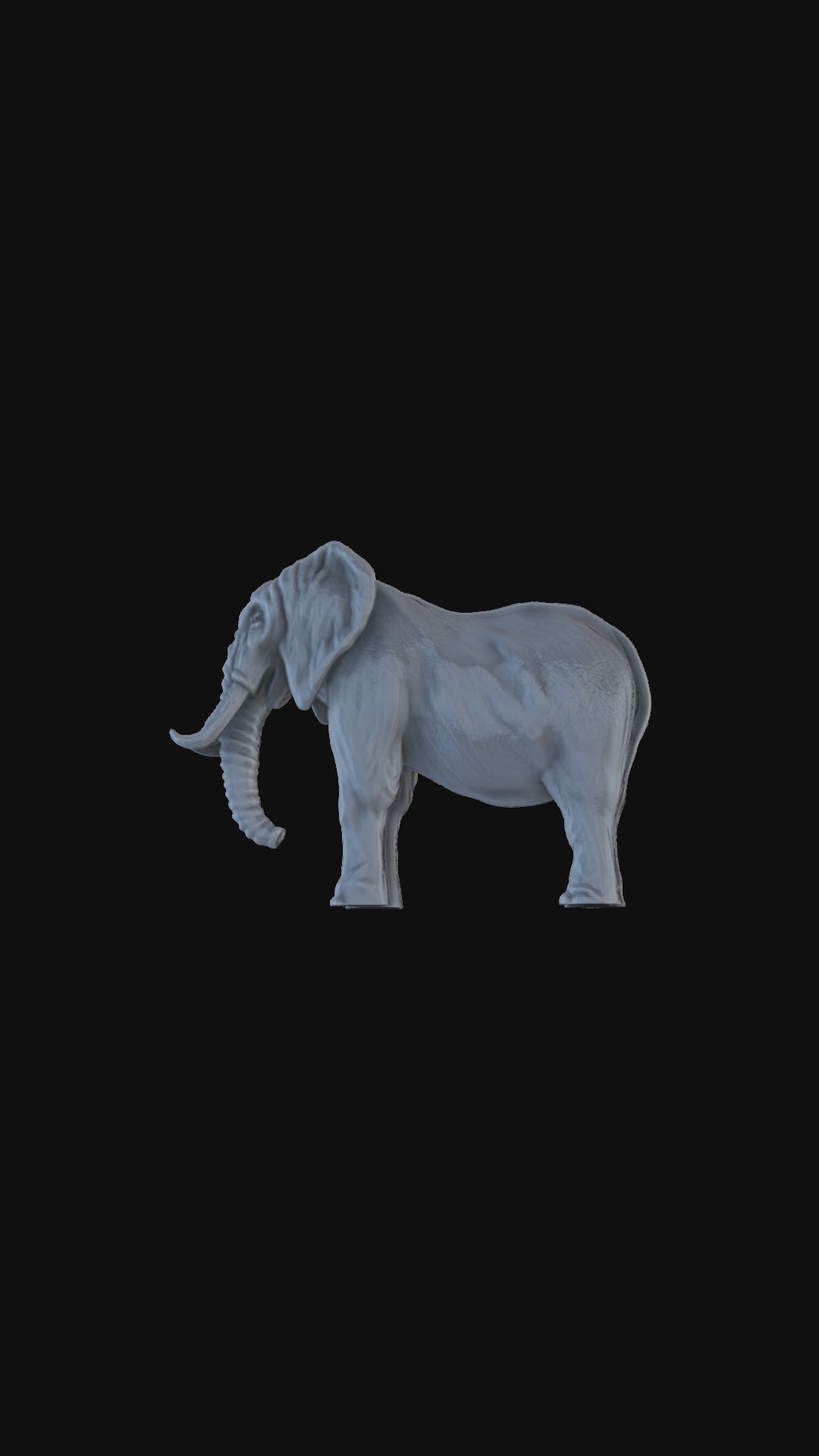 Elelphant Standing 360 degree view