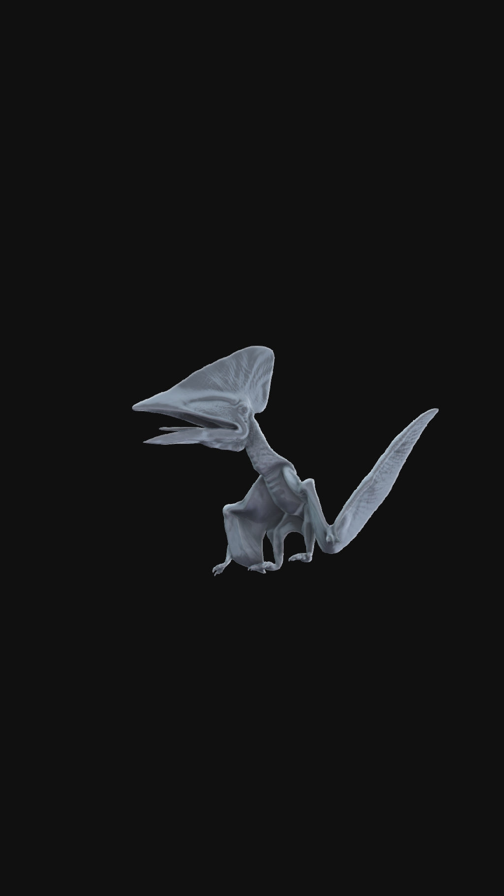 3D printed Thalassodromeus landed 360 degree view