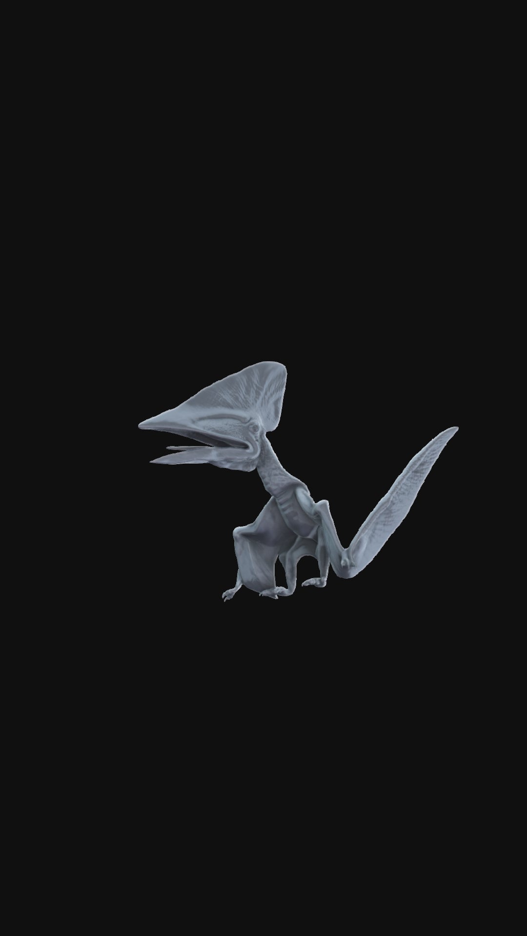 3D printed Thalassodromeus landed 360 degree view
