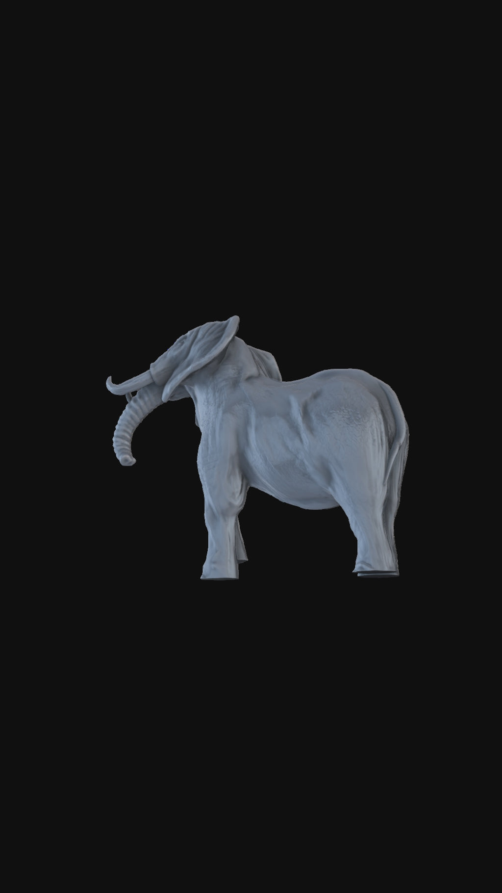 Elephant Stamping 360 degree view