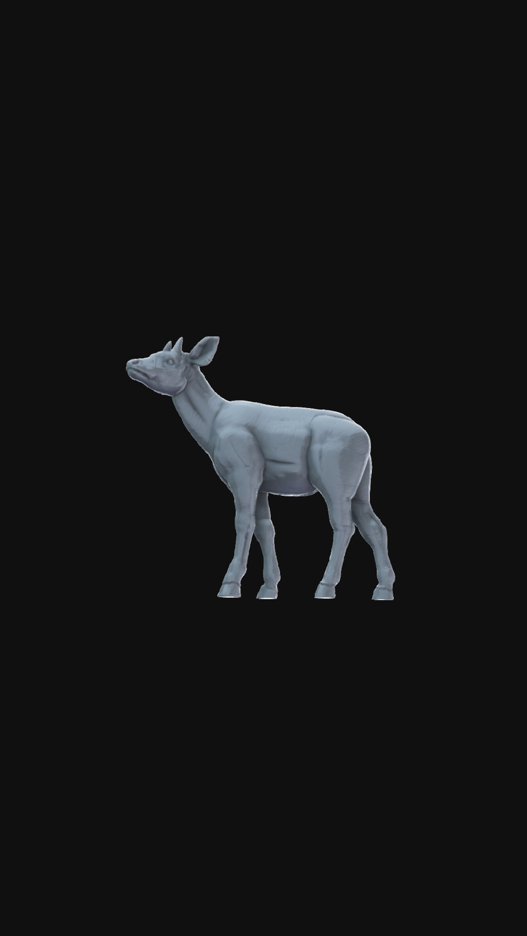 Okapi 360 degree view