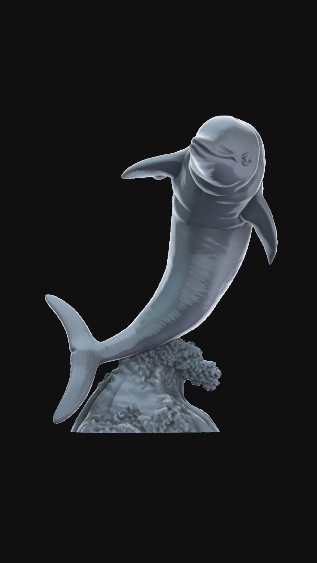 Dolphin riding wave 360 degree view