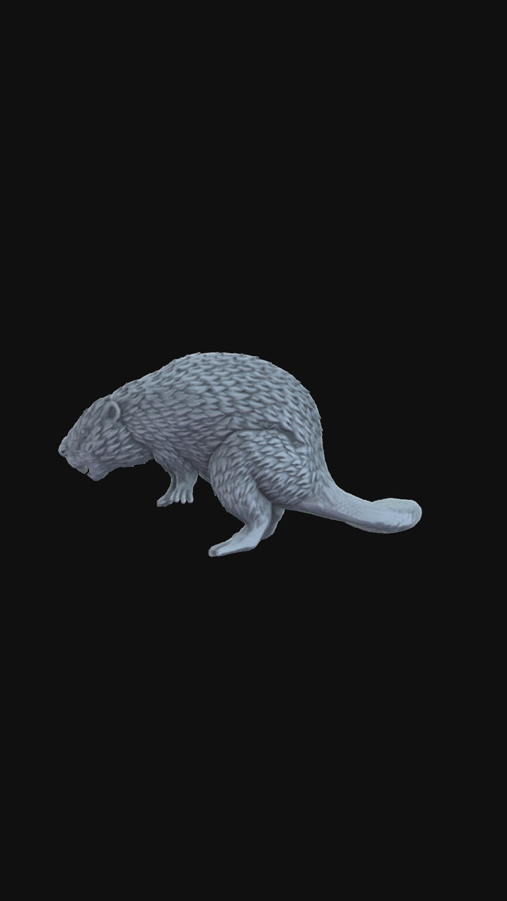 3D printed beaver 360 degree view