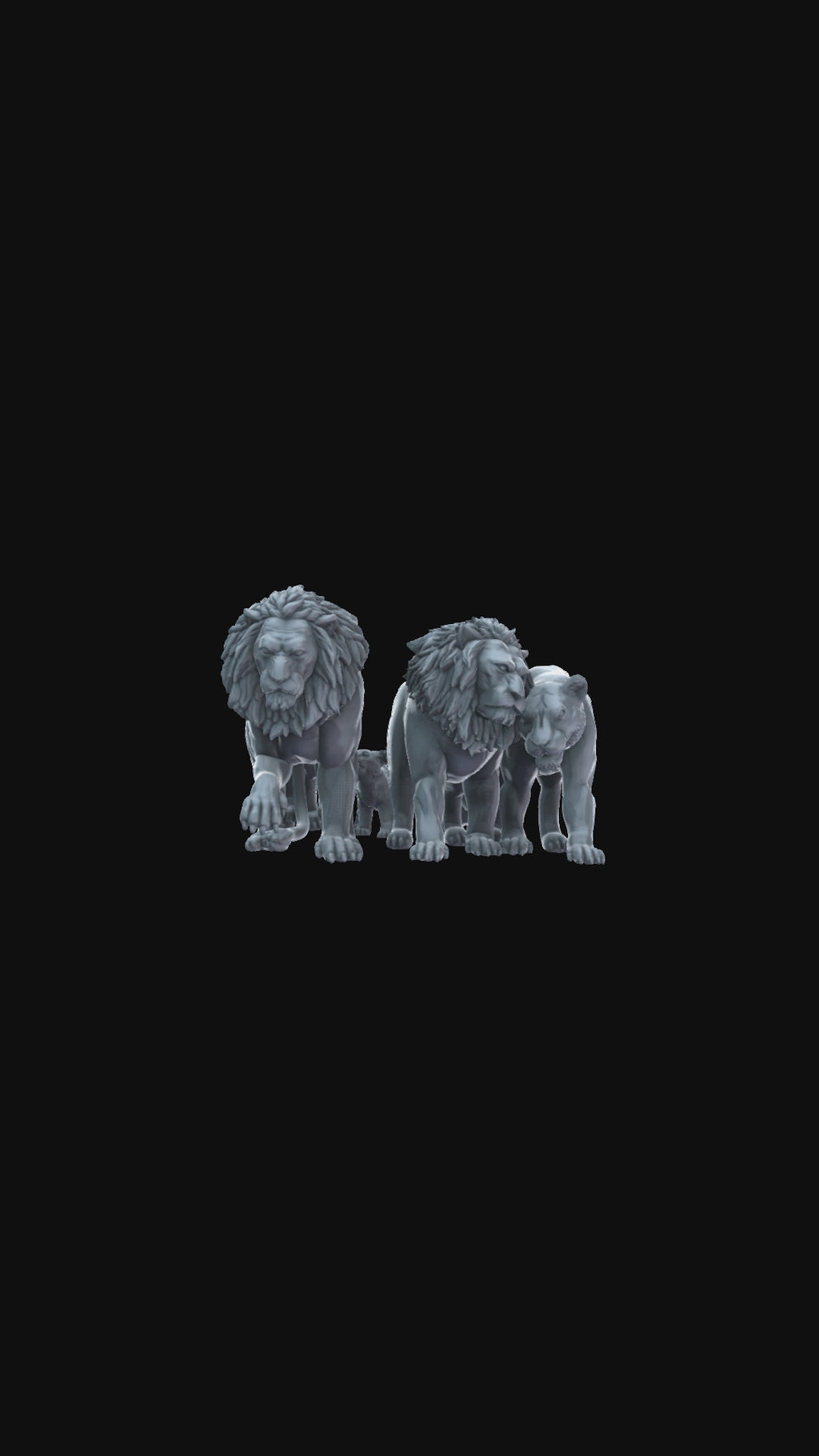 Lion Pride 360 degree view
