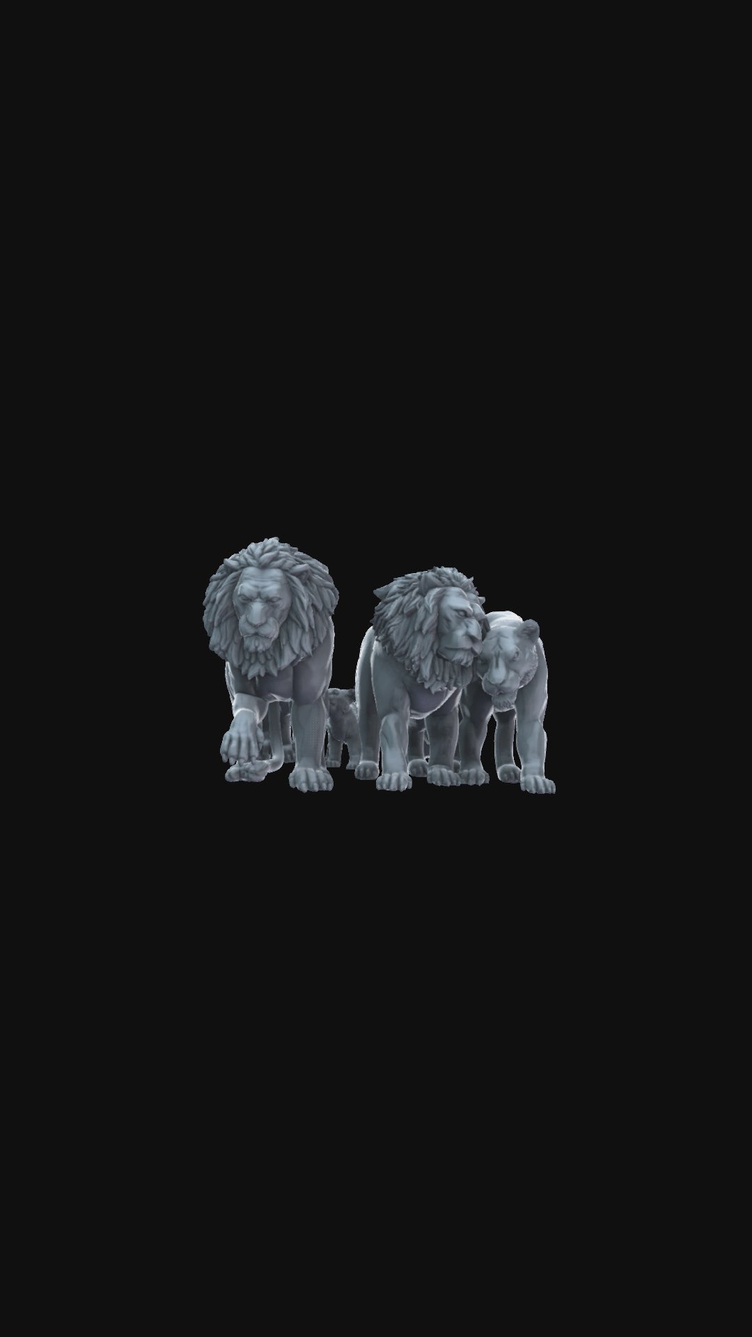 Lion Pride 360 degree view