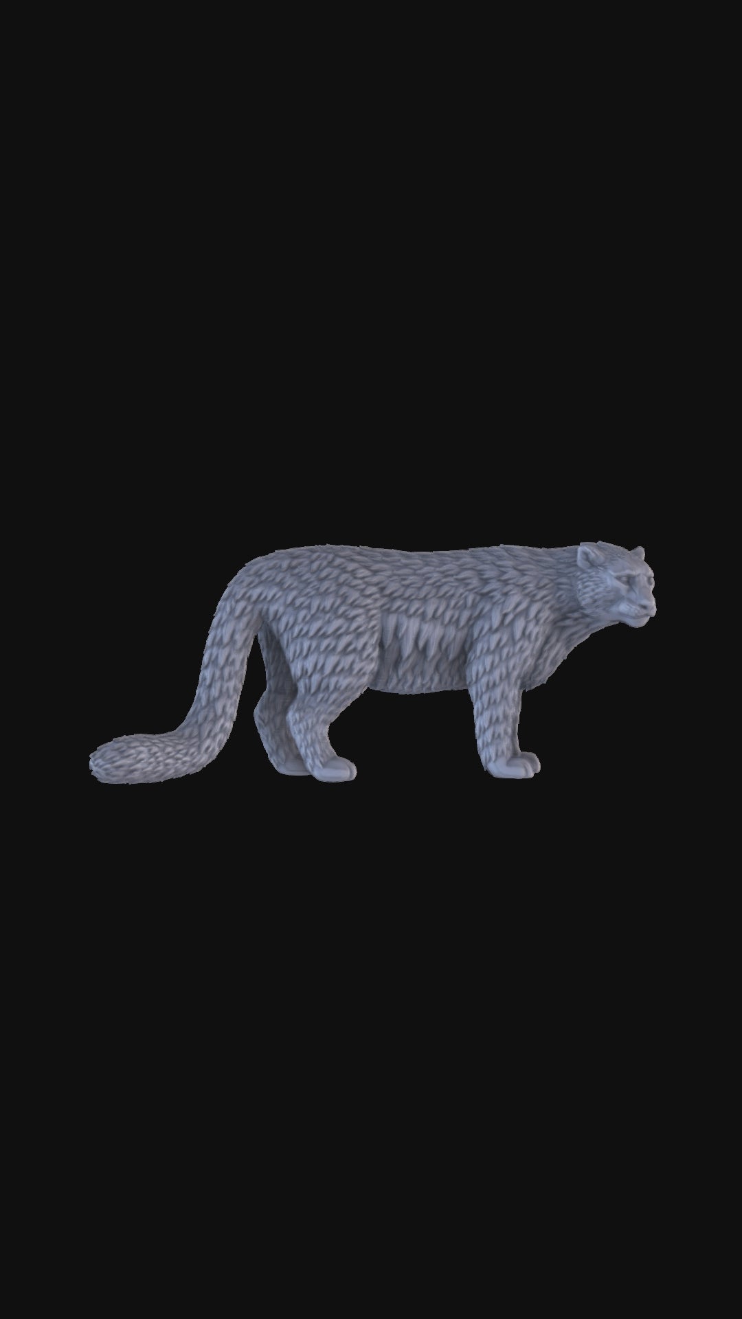 Snow Leopard 360 degree view