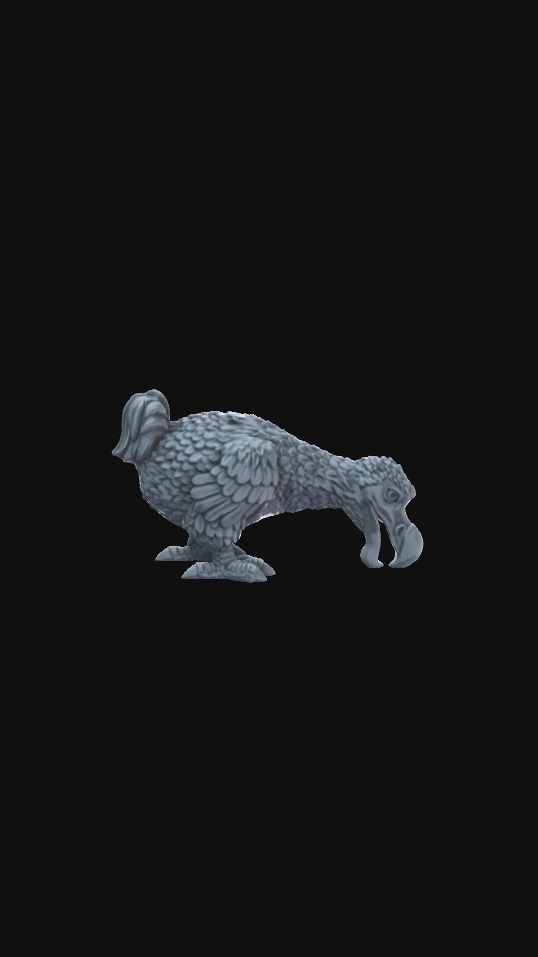 Dodo Eating 360 degree view
