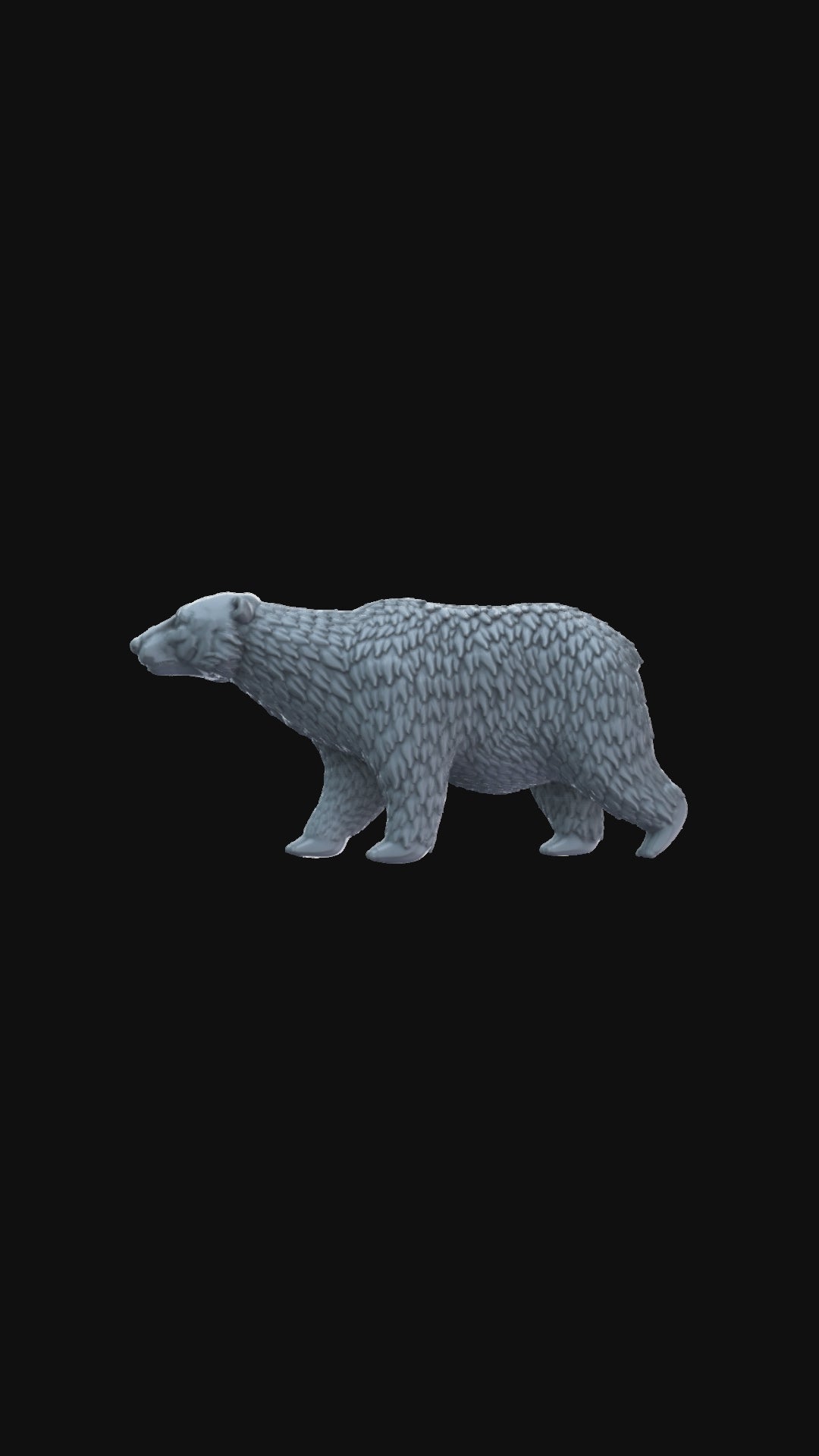 Polar Bear 360 degree view