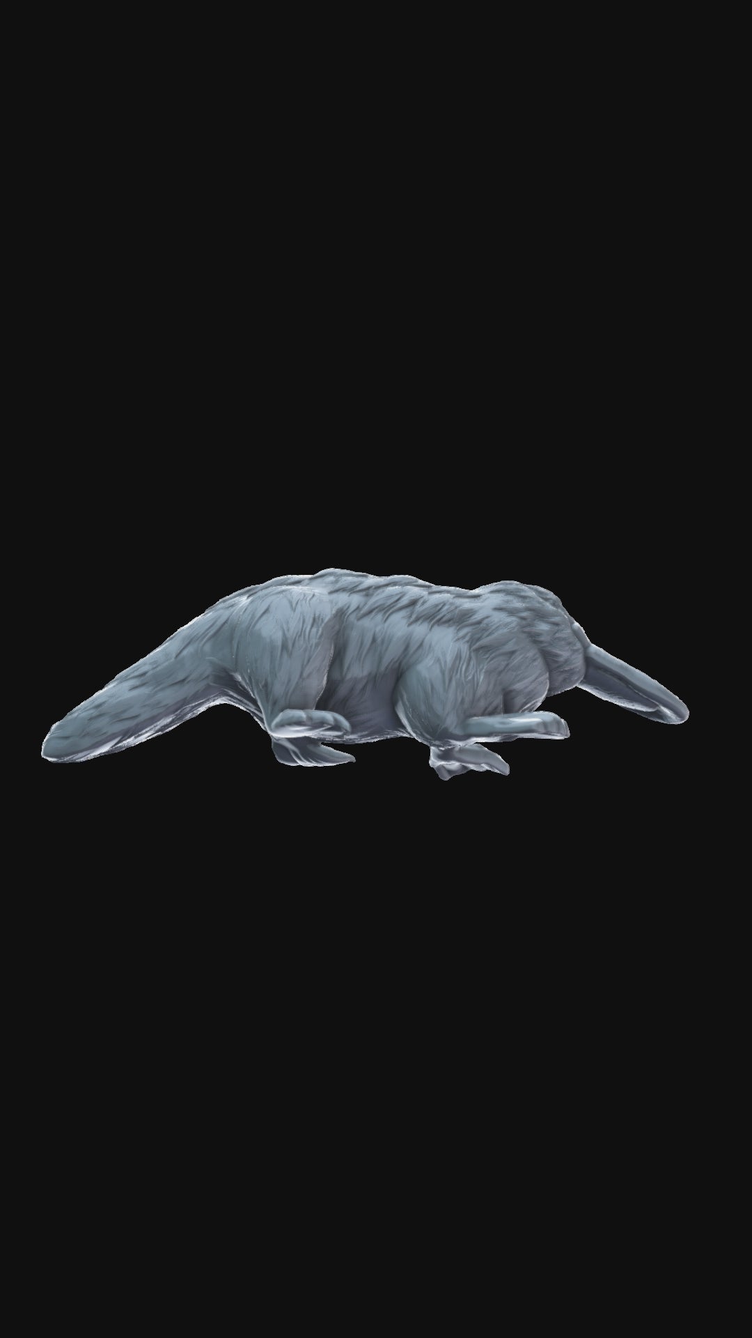 Platypus 360 degree view