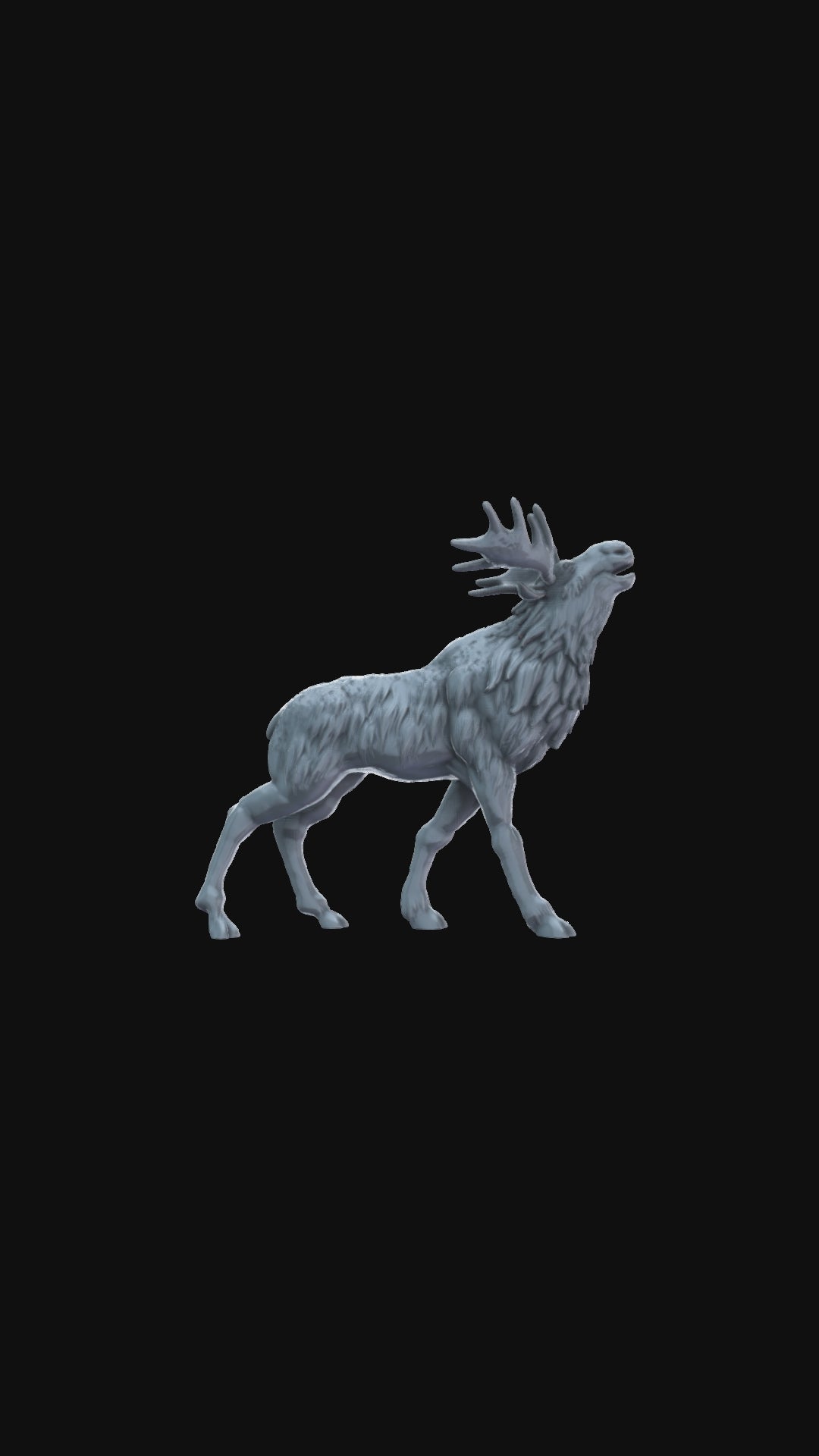Moose Calling 360 degree view
