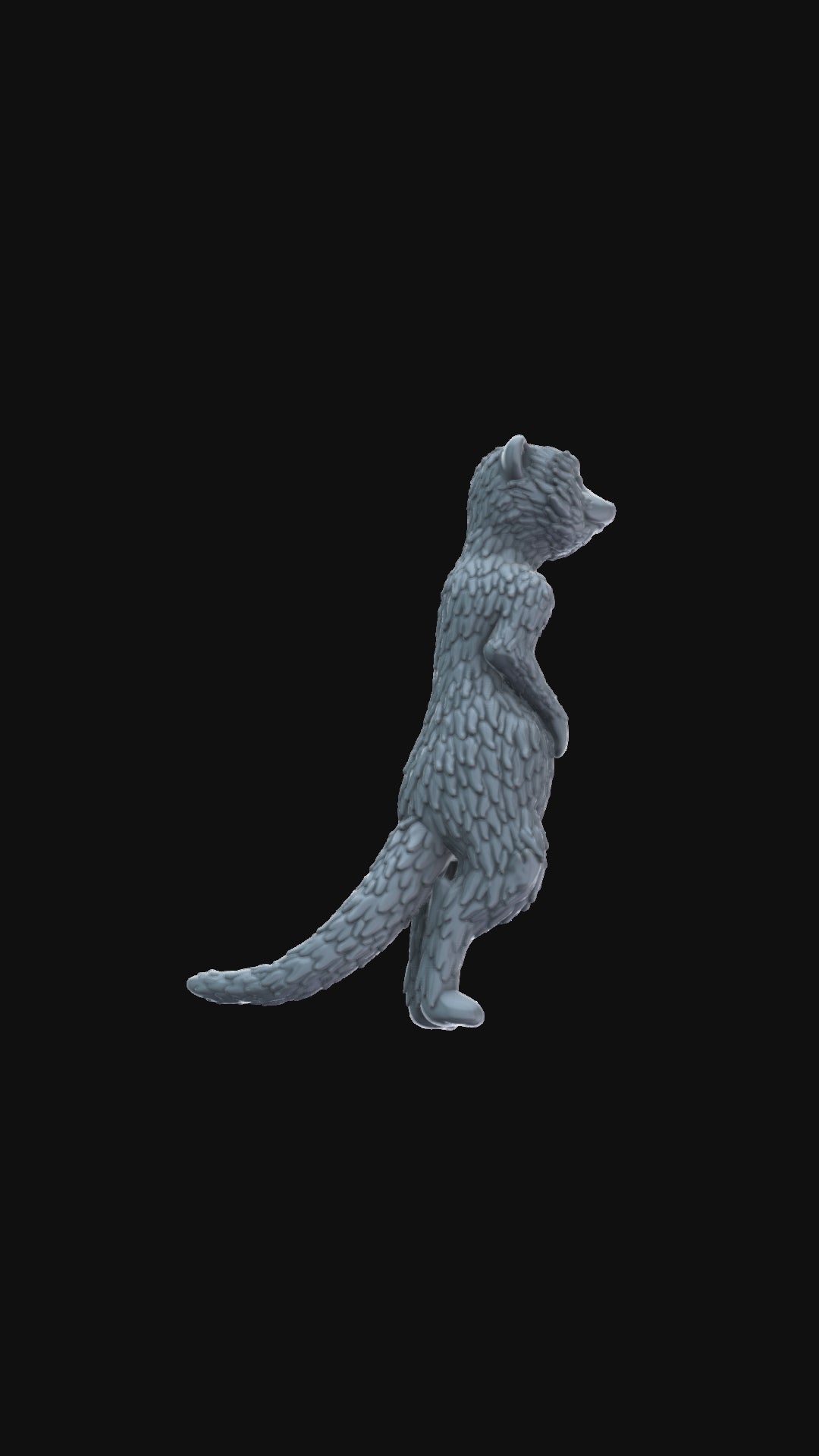 Meerkat 360 degree view