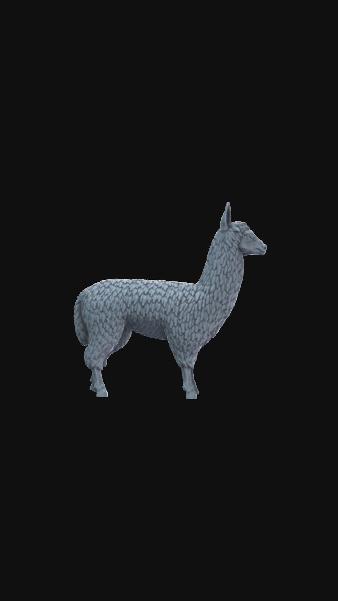 Llama 360 degree view
