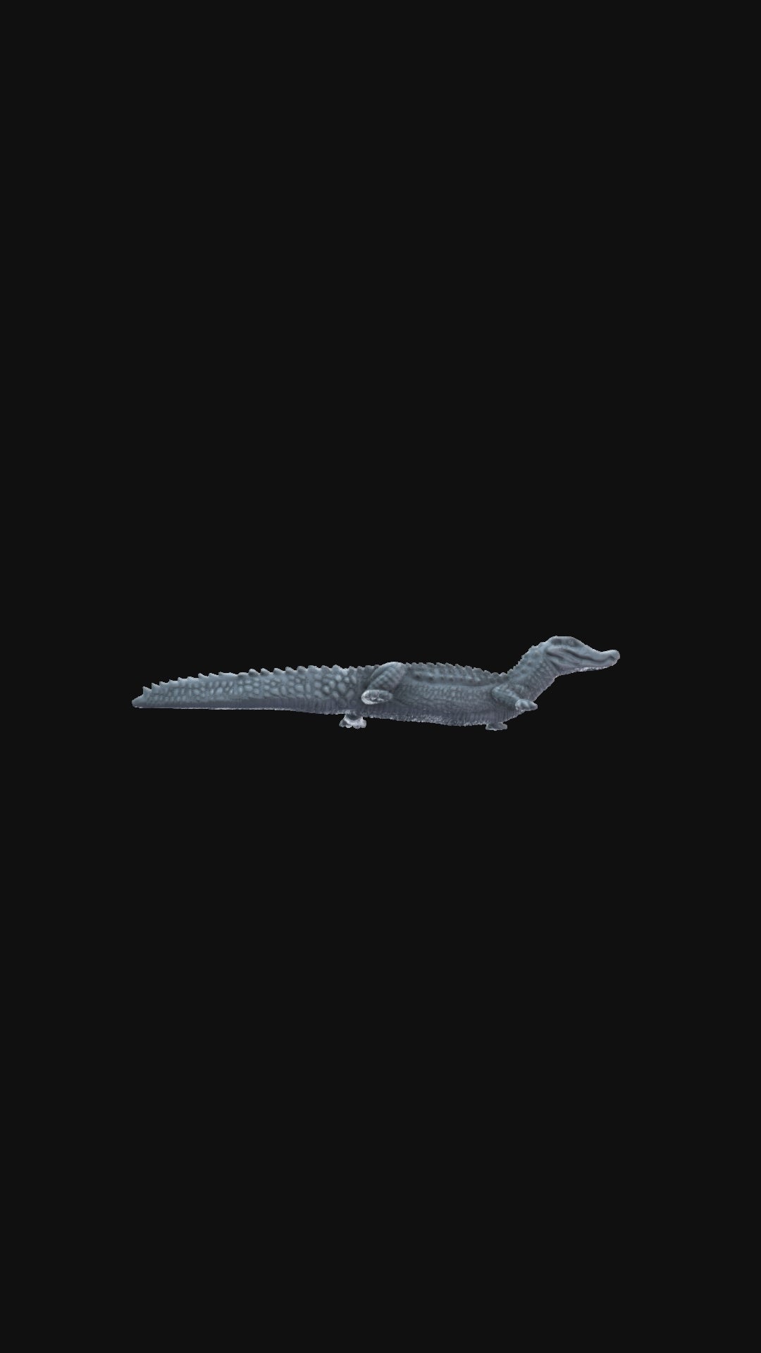 Paleosuchus 360 degree view