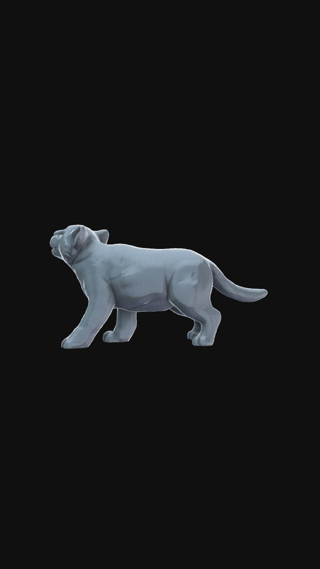 Lion Cub 360 degree view