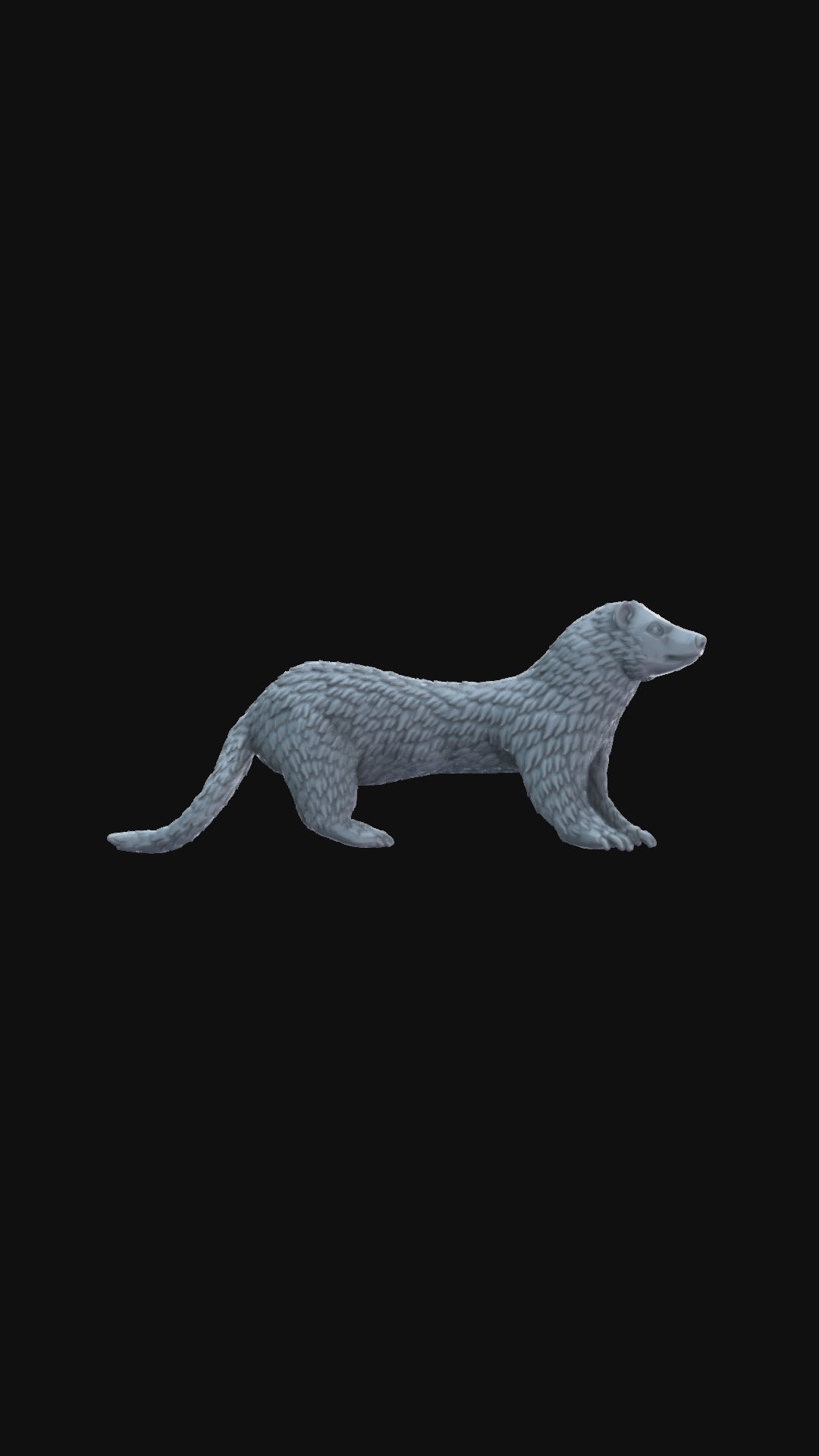 Ferret 360 degree view