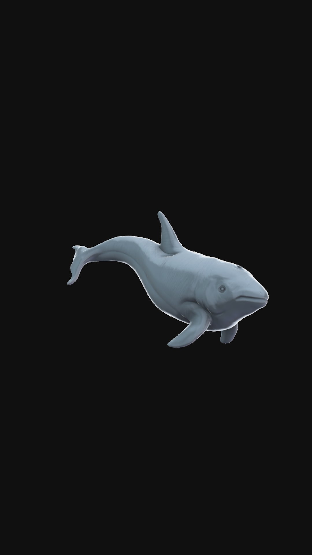 Killer Whale 360 degree view