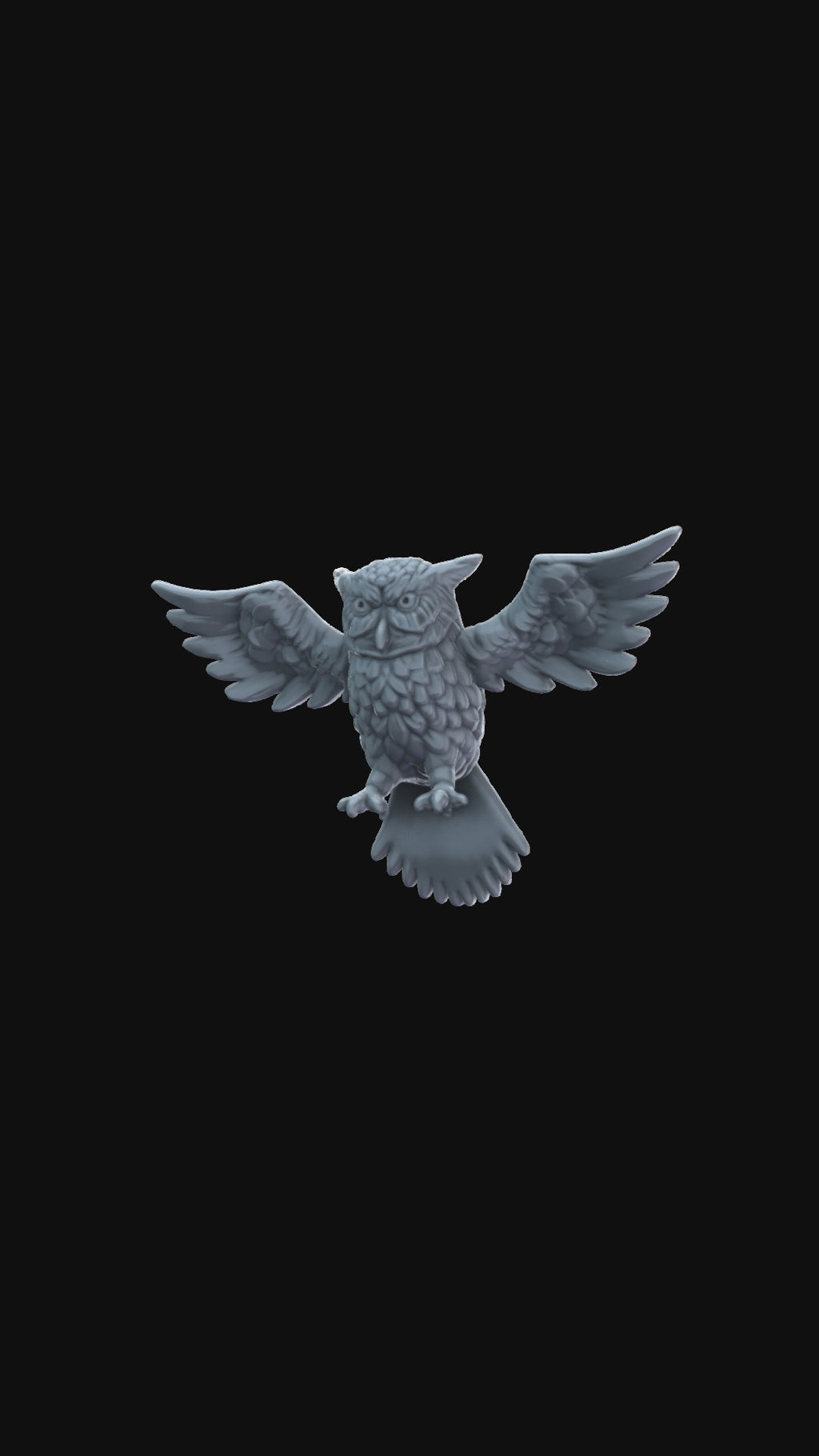 Owl Flying 360 degree view