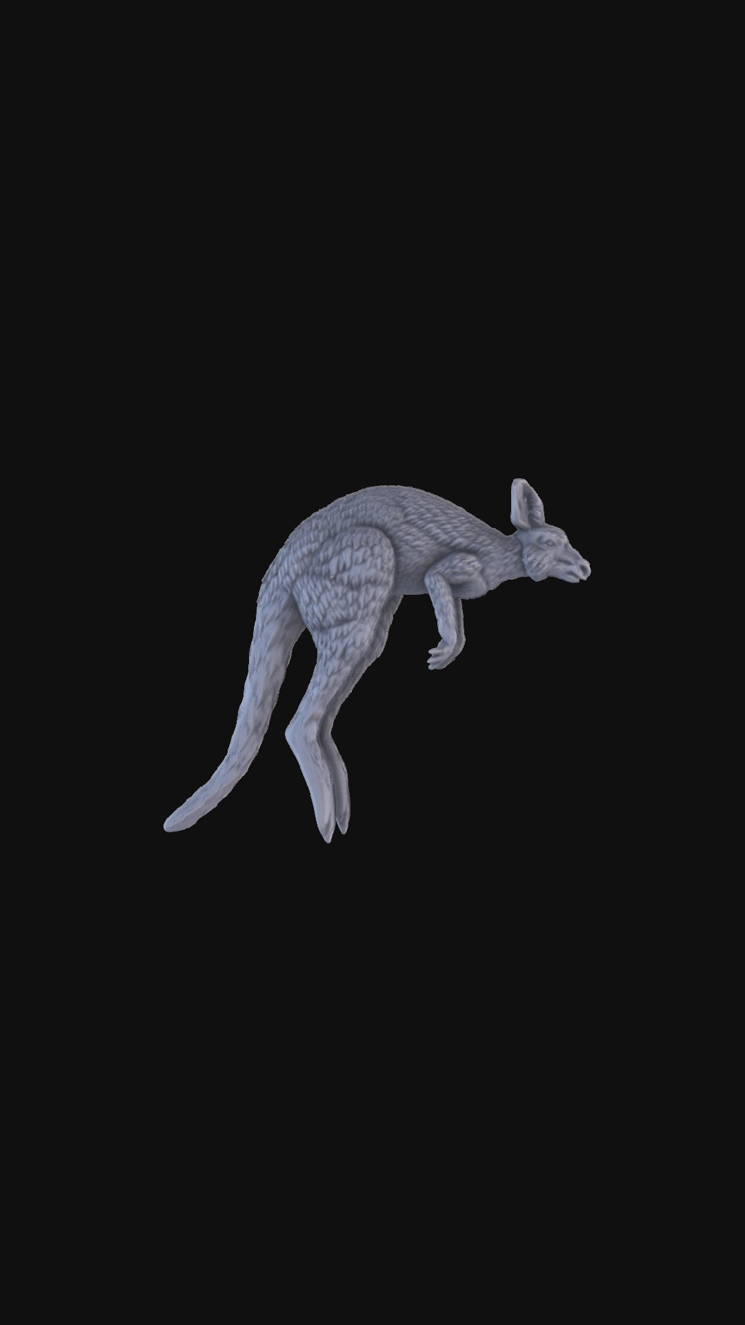 Kangaroo 360 degree view