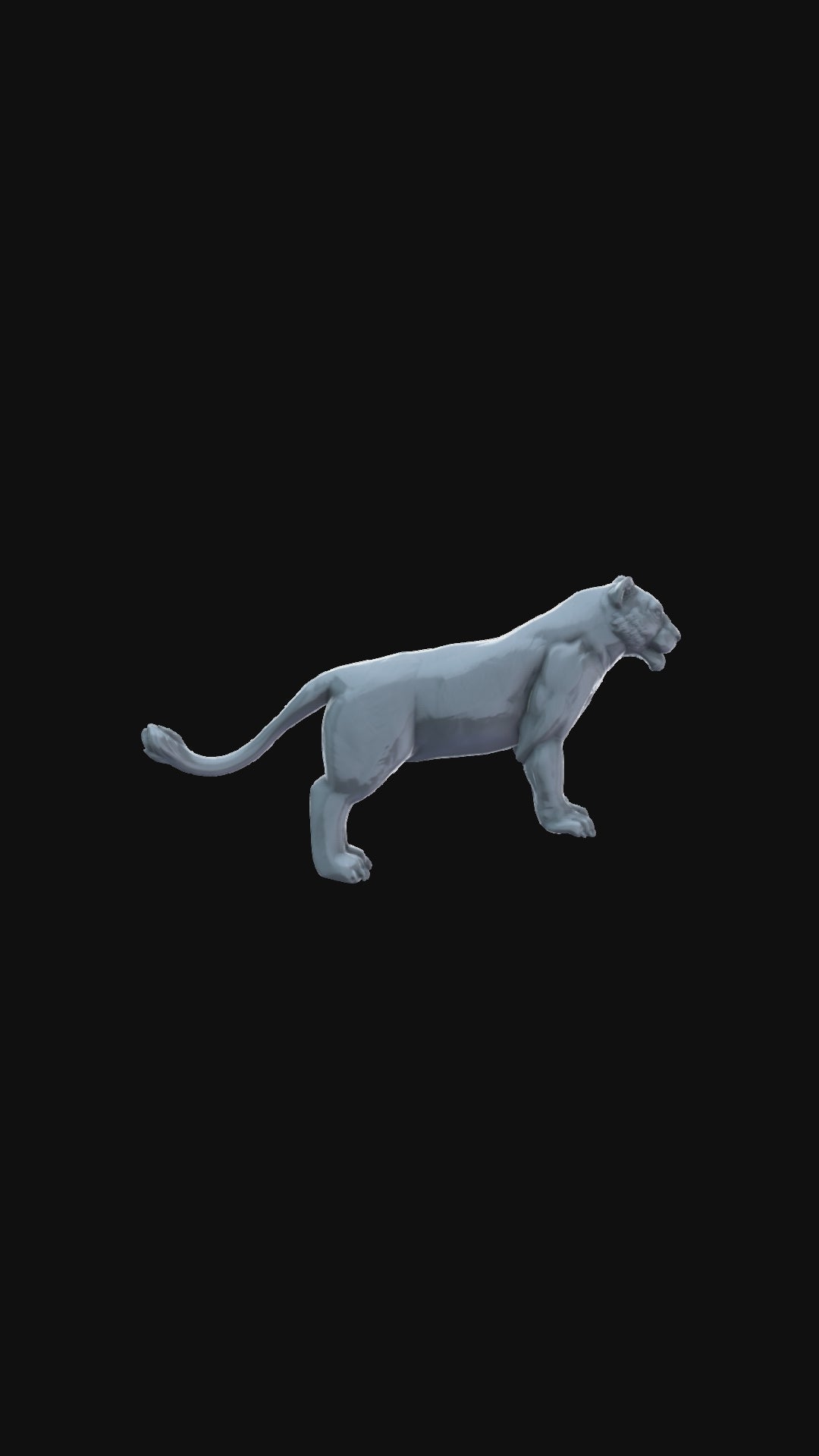 Lioness 360 degree view