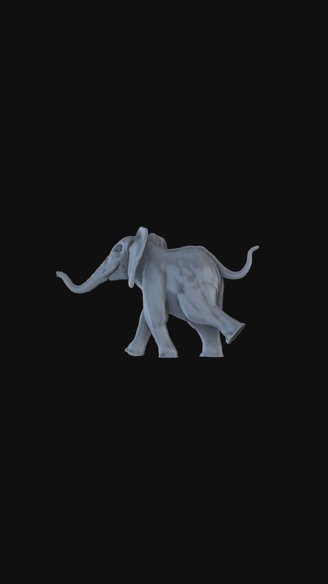 Elephant Calf 360 degree view
