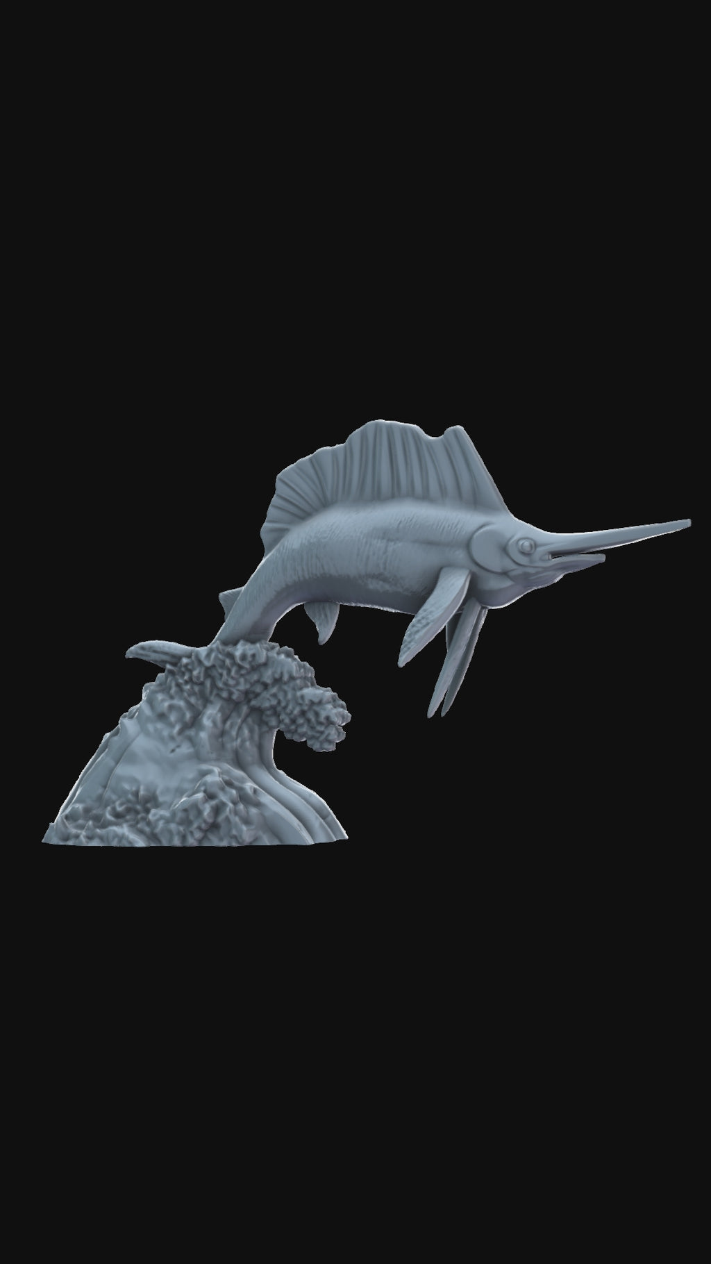 Sailfish and wave 360 degree view