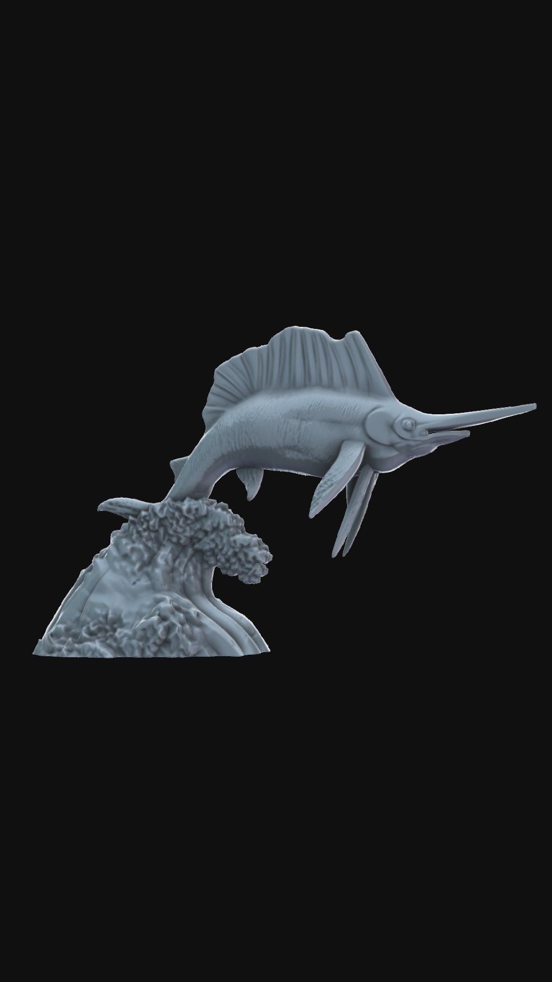 Sailfish and wave 360 degree view