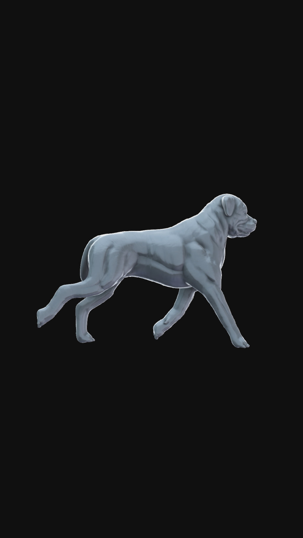 Rotweiller 360 degree view
