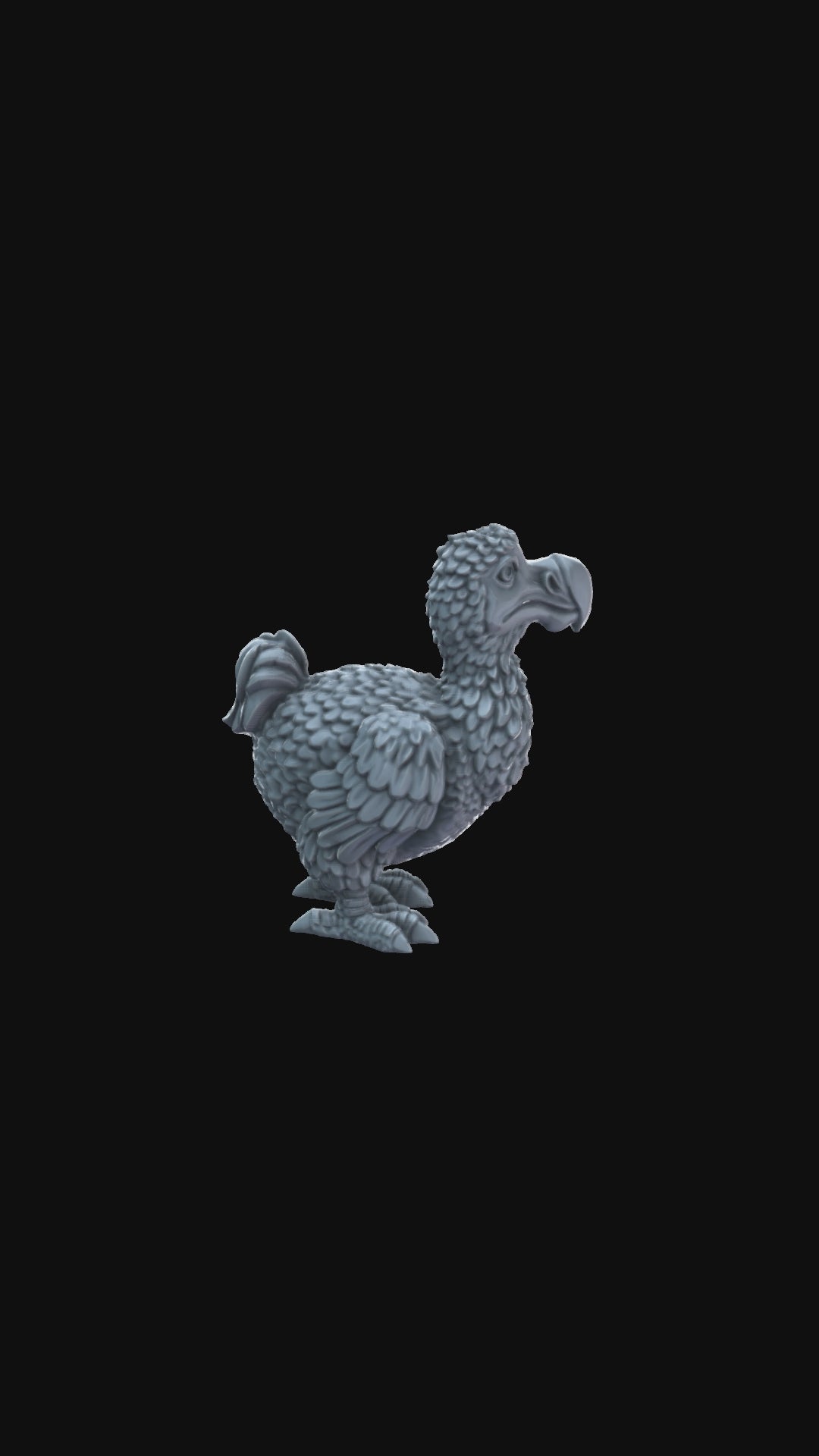 Dodo Watching 360 degree view
