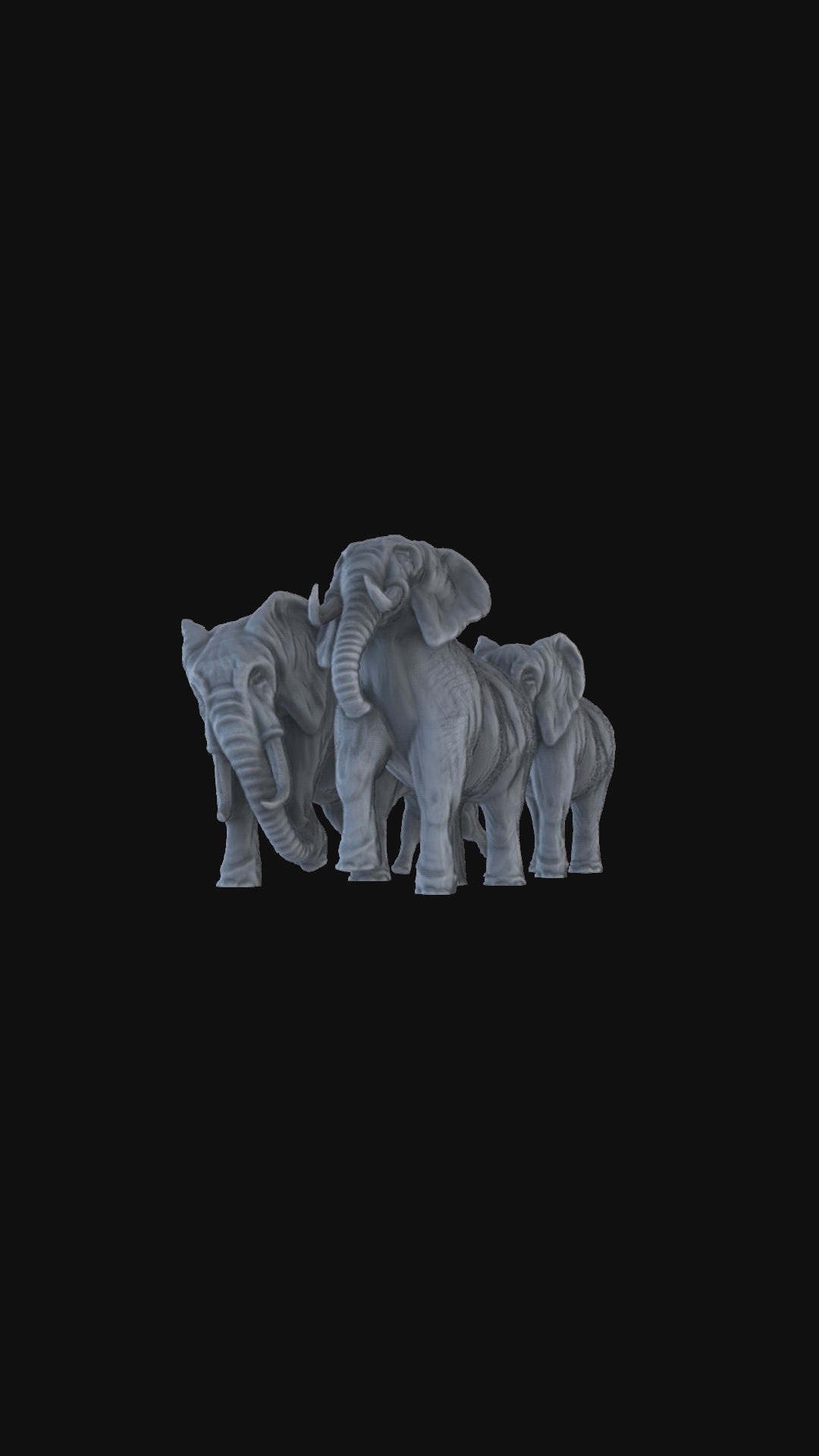 Elephant Herd 360 degree view