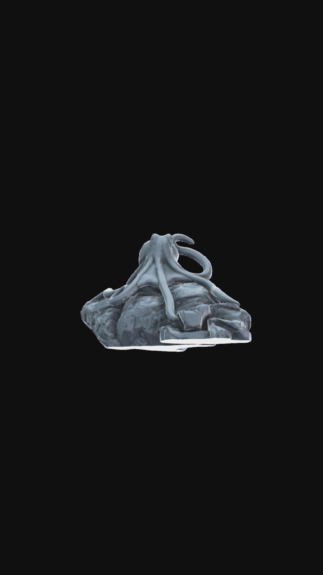 Octopus on Rock 360 degree view